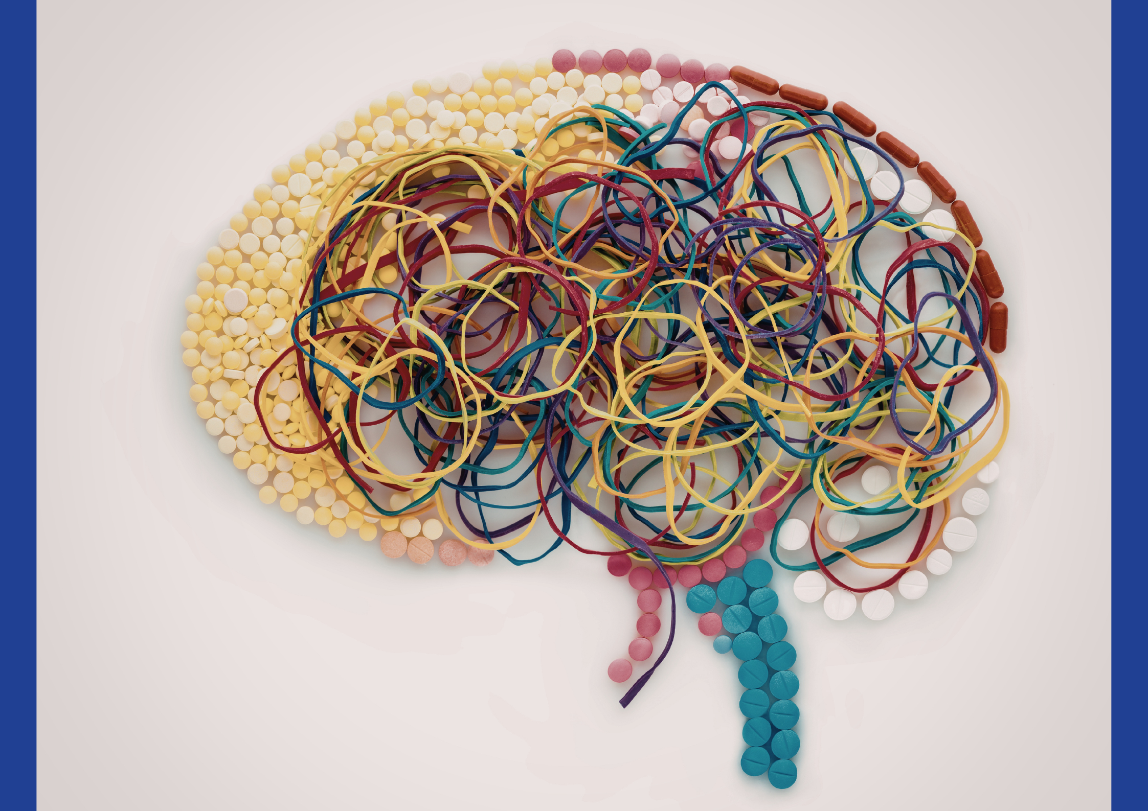 Conference Complexity of Neural Function – the Brain in Charge